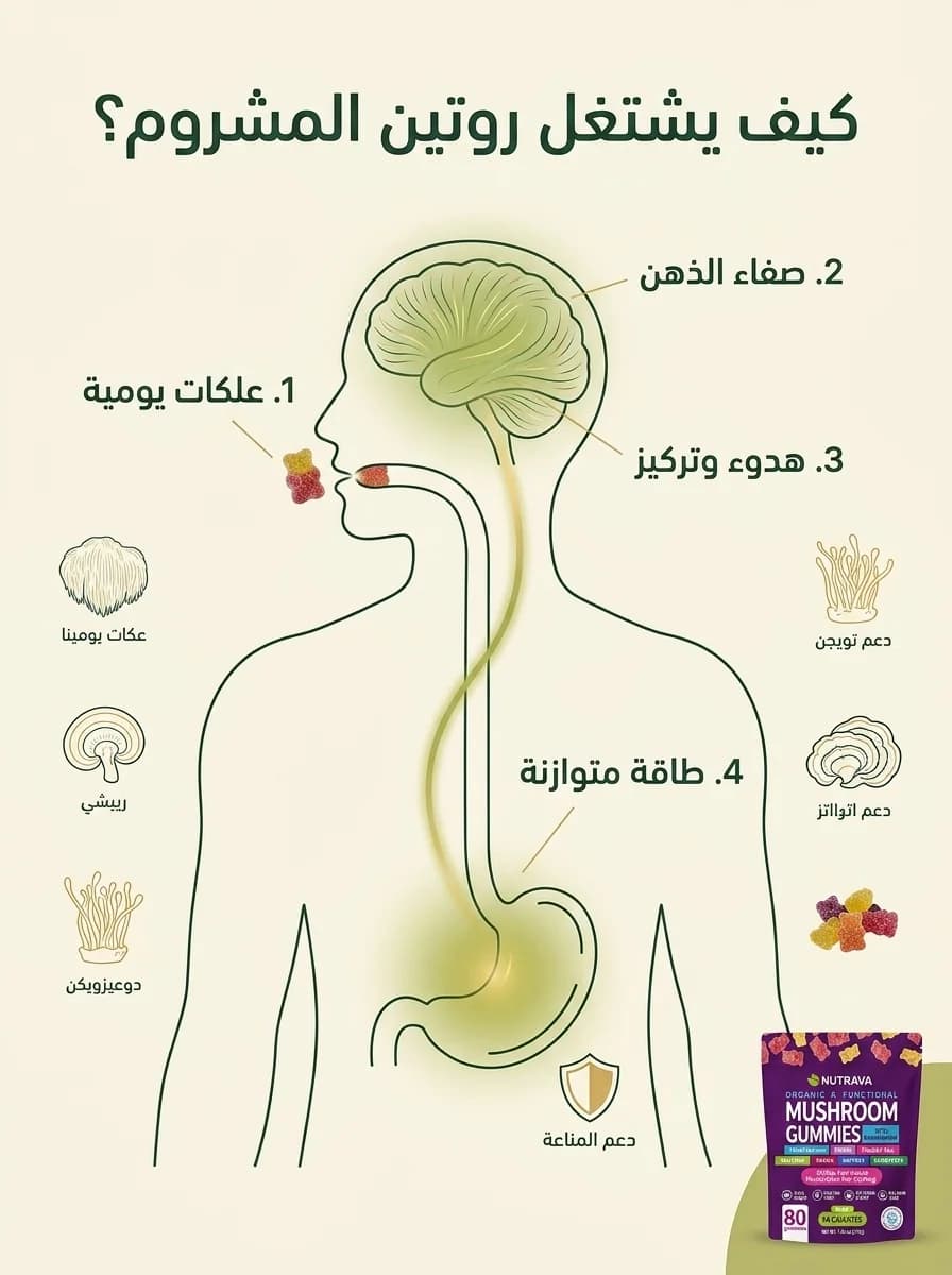 آلية عمل Mushroom Gummies